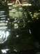paint removal and chassis saver 003.jpg